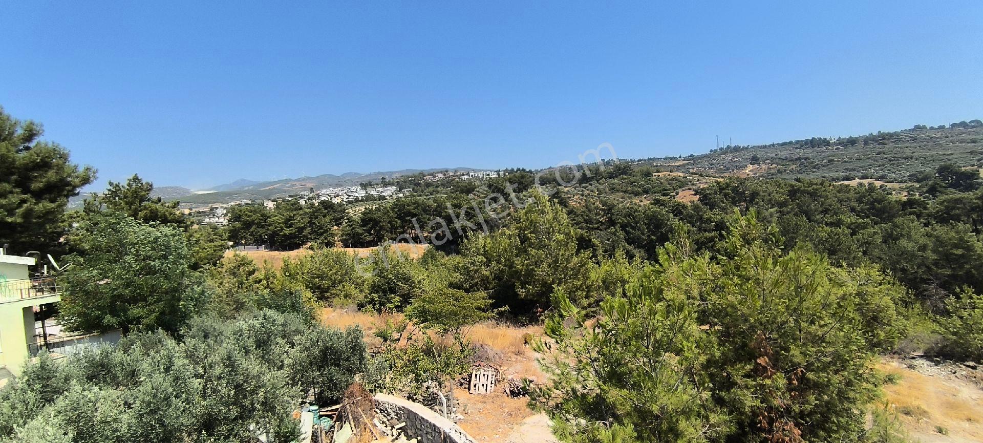 Kuşadası Efes Evlerinde Kiralık Sıfır Tripleks - Görsel 24