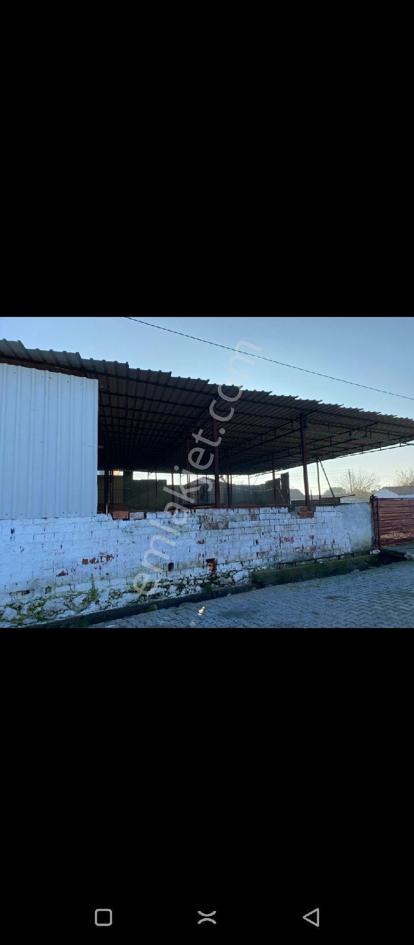 Aydın Söke'de Satılık 450 M2 Çiftlik
