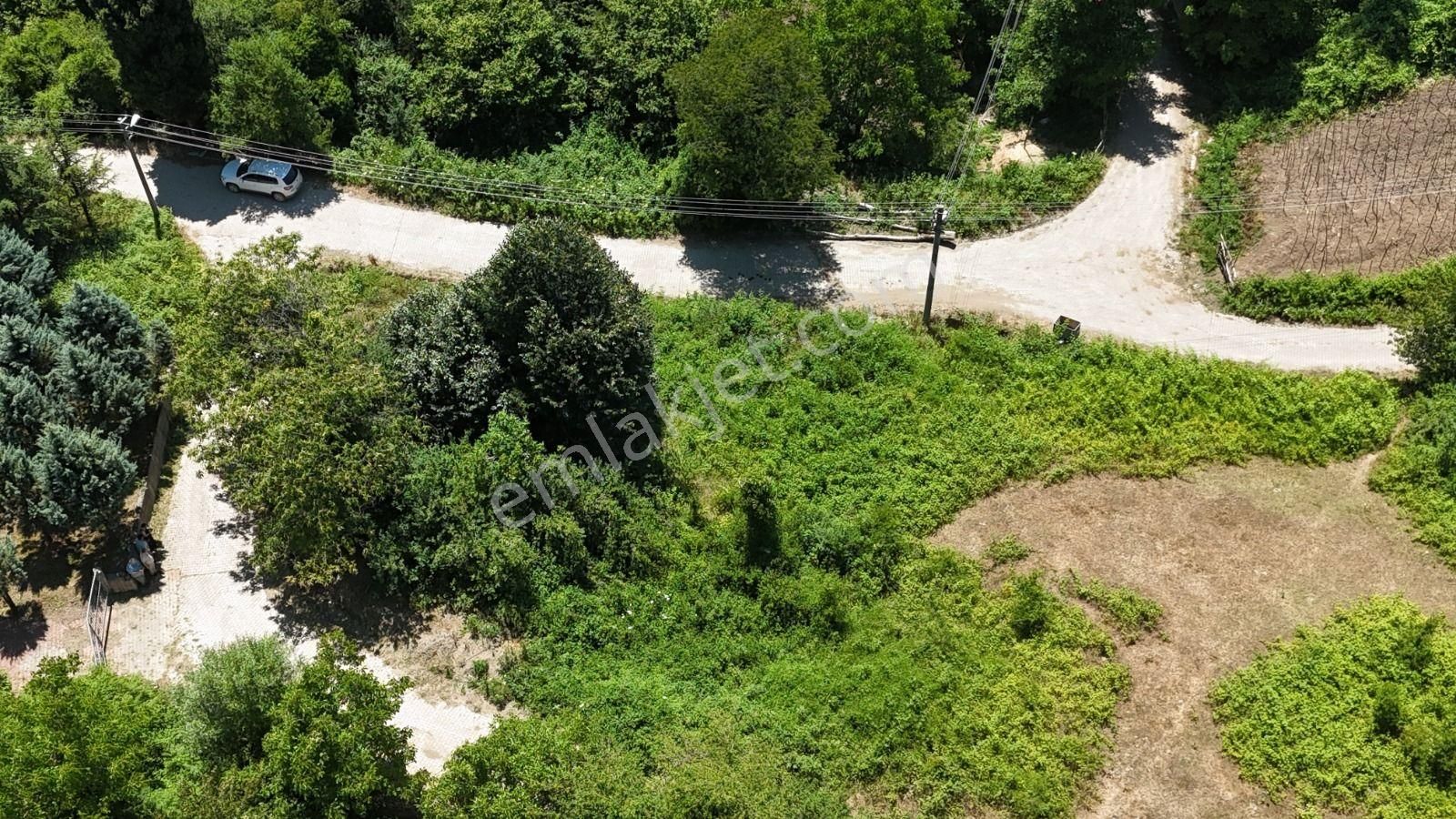 Mesruriye Köyünde Doğa Temalı 2 Dönümlük Arsa