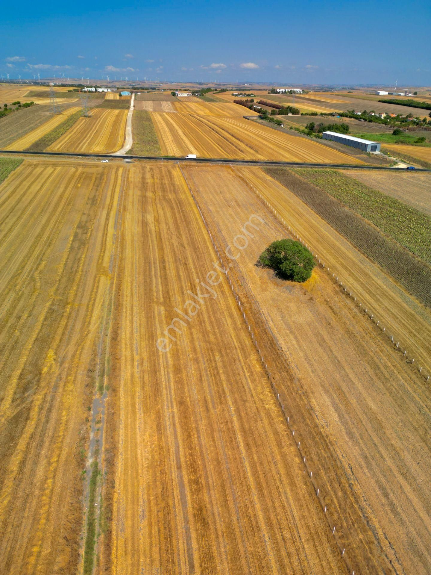Silivri Çeltik Mahallesinde Asfalt Cephe Satılık 30.000 M² Tarla - Görsel 6