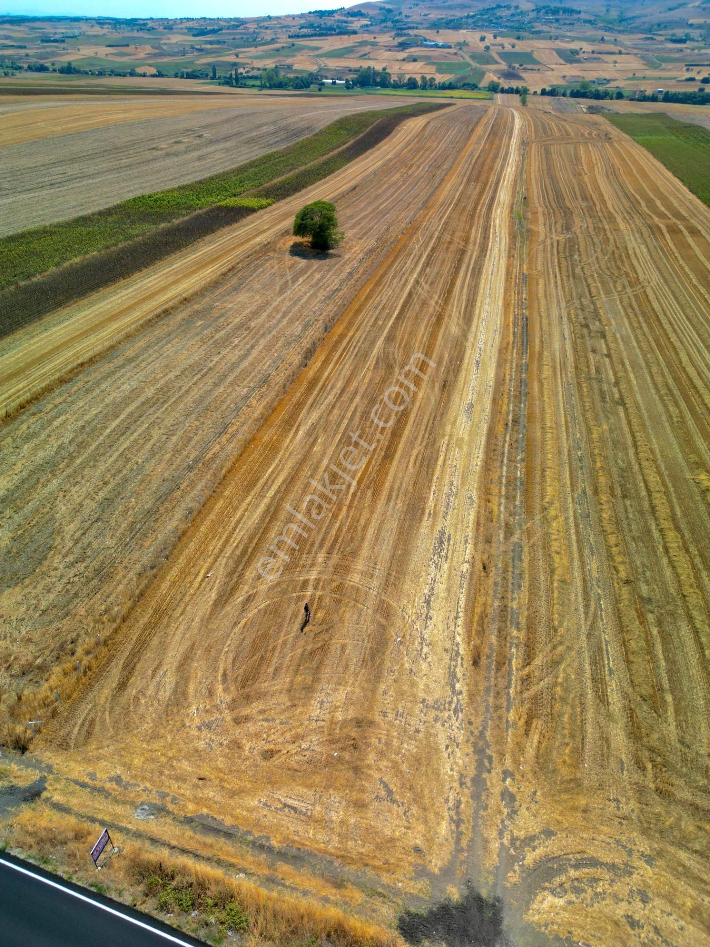 Silivri Çeltik Mahallesinde Asfalt Cephe Satılık 30.000 M² Tarla - Görsel 4