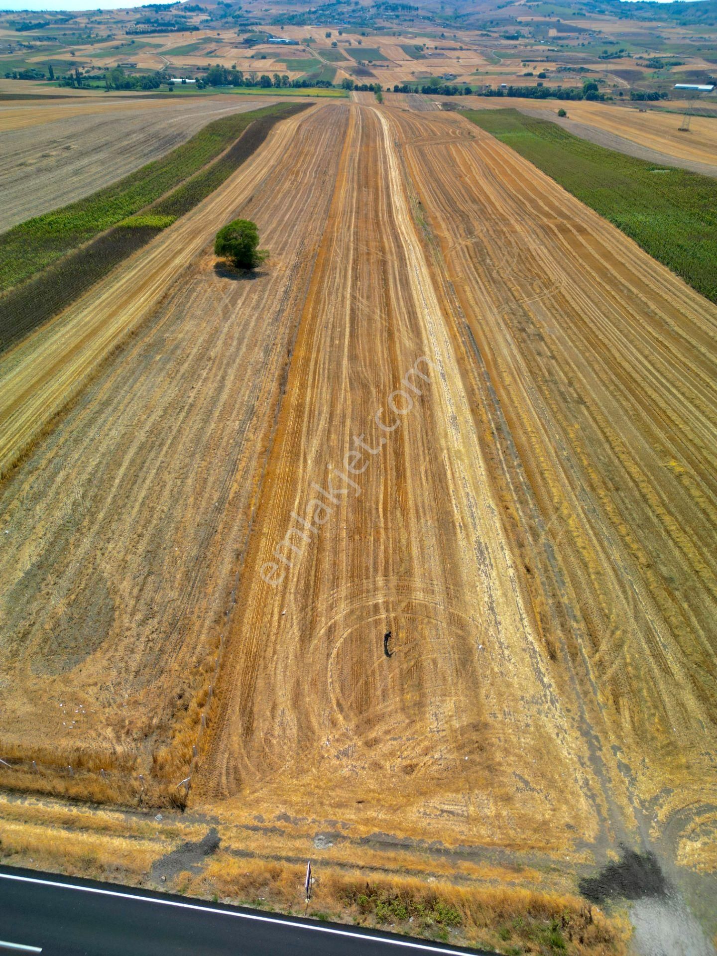 Silivri Çeltik Mahallesinde Asfalt Cephe Satılık 30.000 M² Tarla - Görsel 5