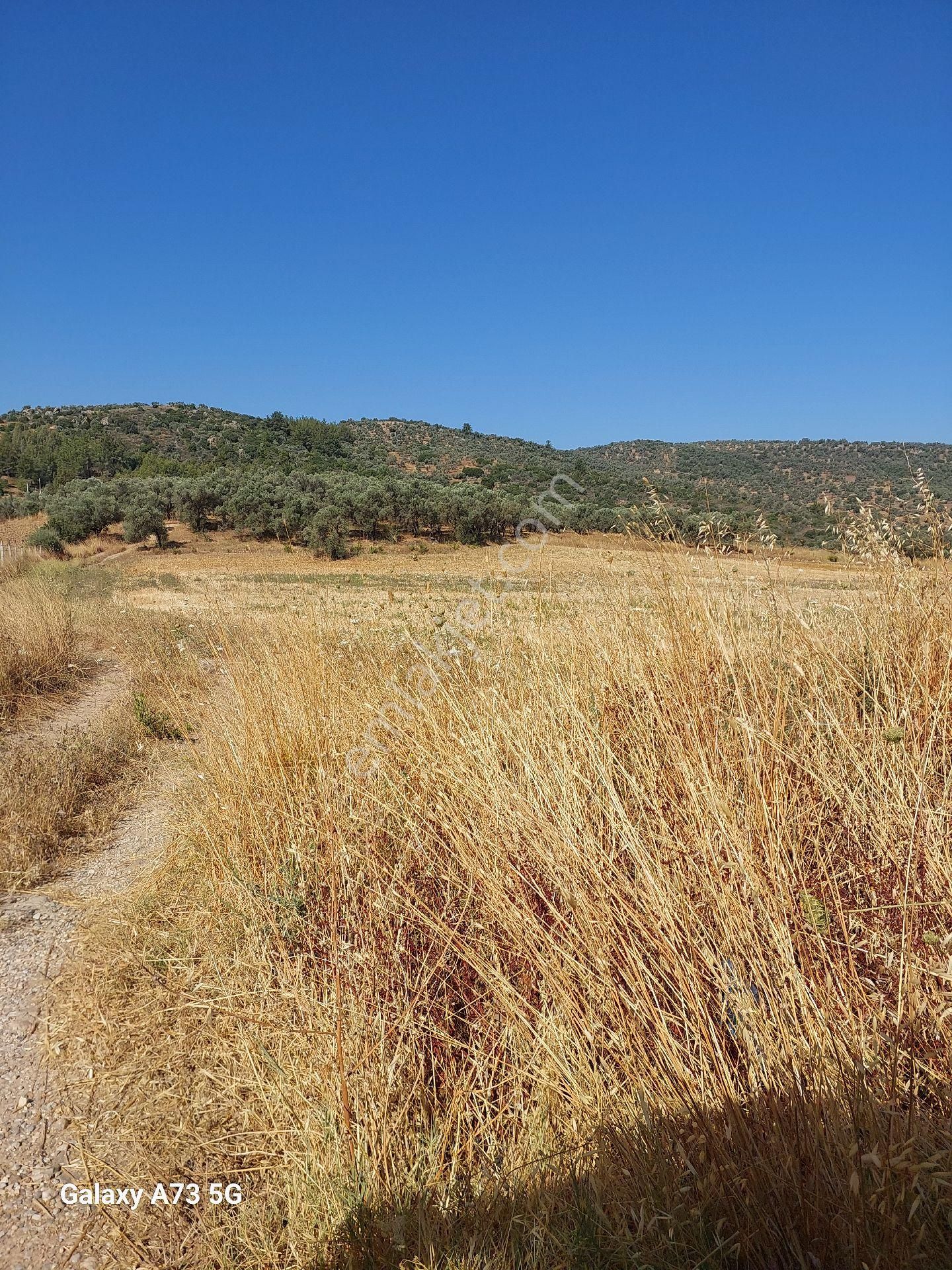Bodrum Mumcularda Satılık Tarla - Görsel 2