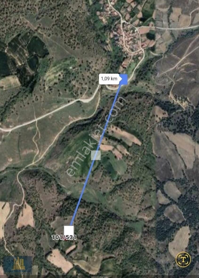 Müstakil Tapu 380 Metre Kare