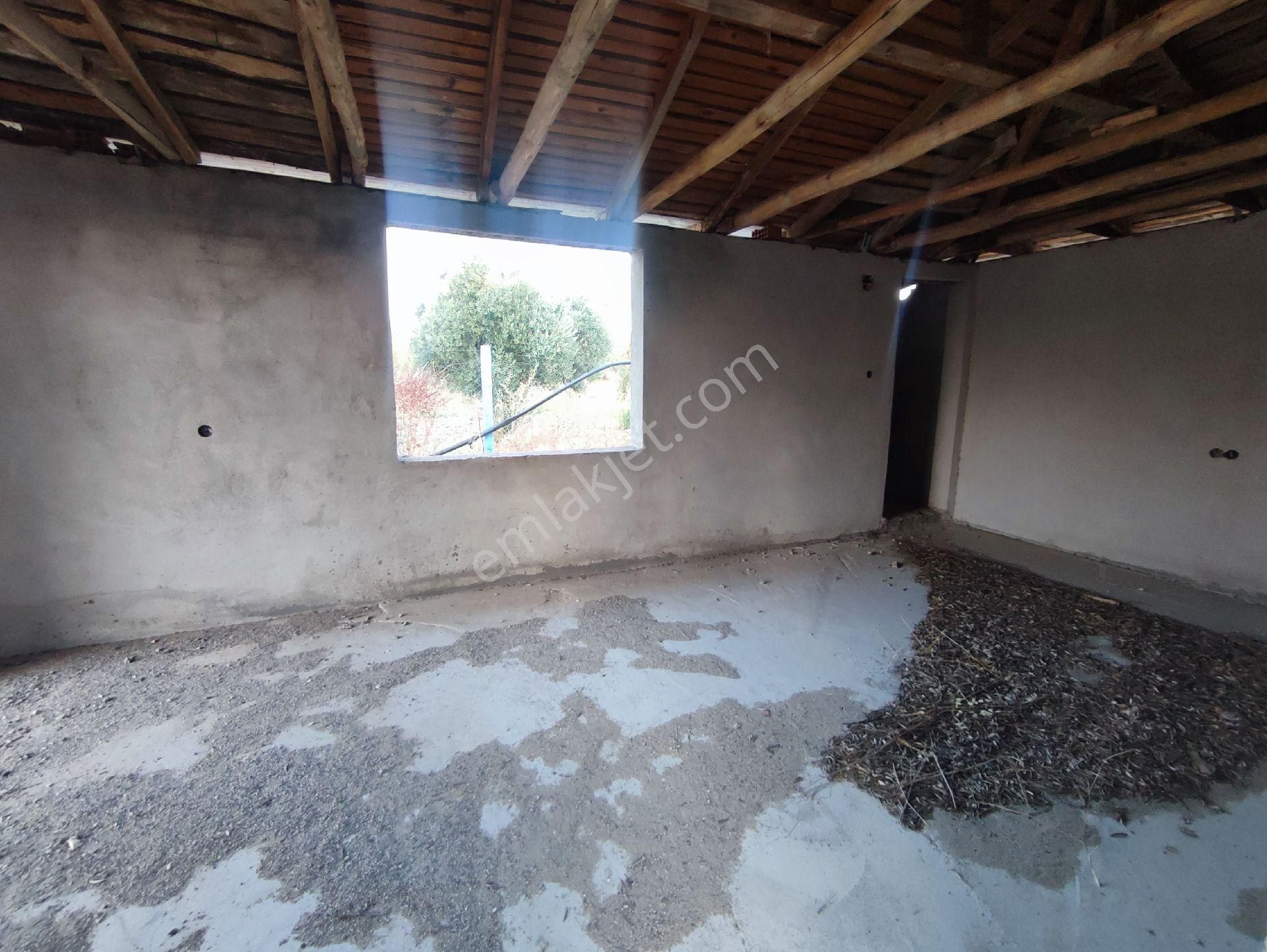 Utku Gayrimenkulden Akhisar Efendi Mah Satılık Zeytinlik Hobi Bahcesi - Görsel 11