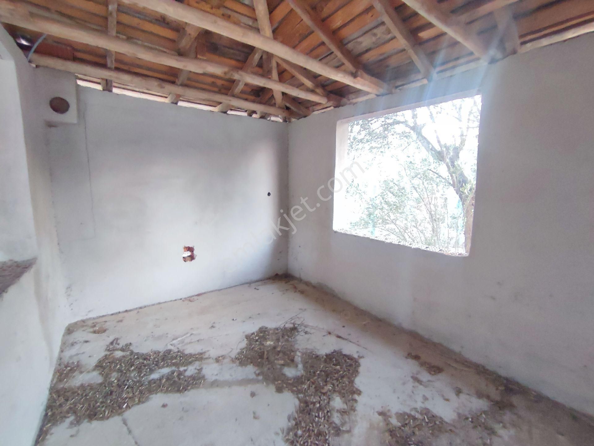 Utku Gayrimenkulden Akhisar Efendi Mah Satılık Zeytinlik Hobi Bahcesi - Görsel 15