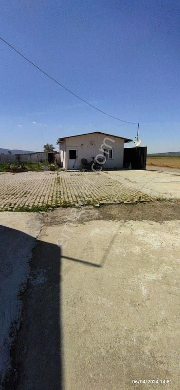 İzmir Bayındır Çırpıda 15 Dönüm Satılık Çiftlik - Görsel 9