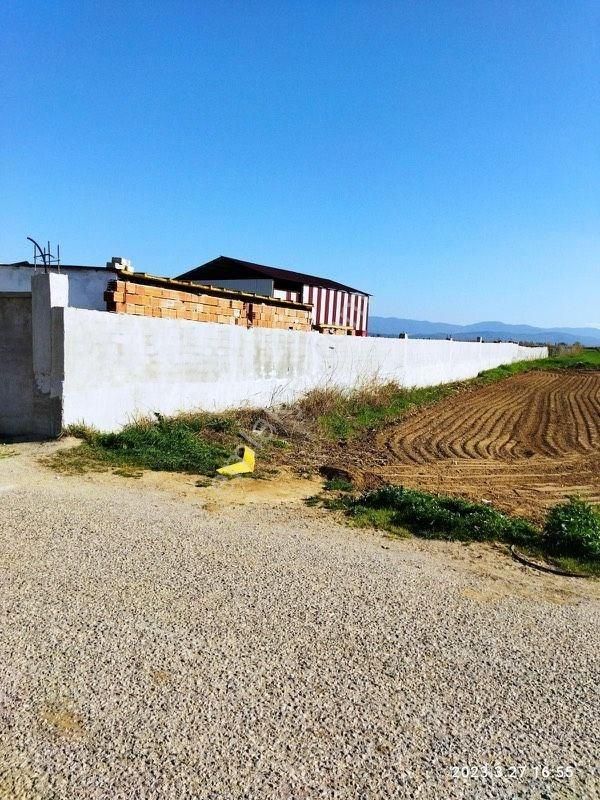 İzmir Bayındır Çırpıda 15 Dönüm Satılık Çiftlik - Görsel 11