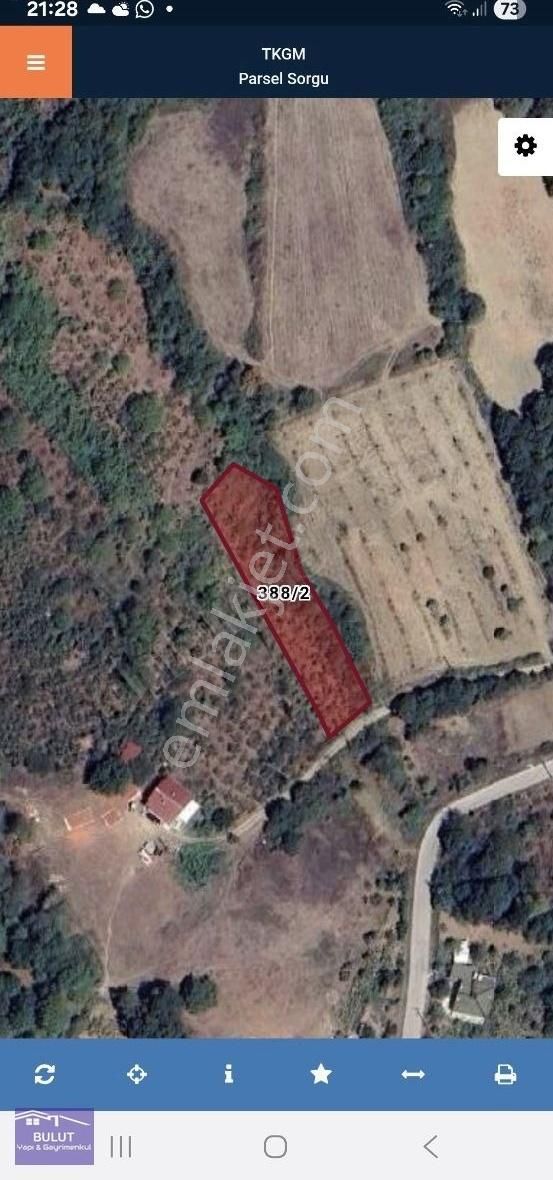 Geyve Akıncılarda 3.440m2 Fındıklık.köy İçinde. - Görsel 4