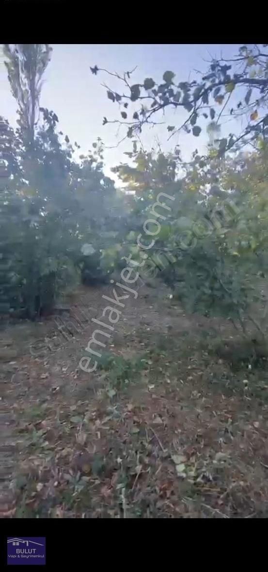 Geyve Akıncılarda 3.440m2 Fındıklık.köy İçinde. - Görsel 7