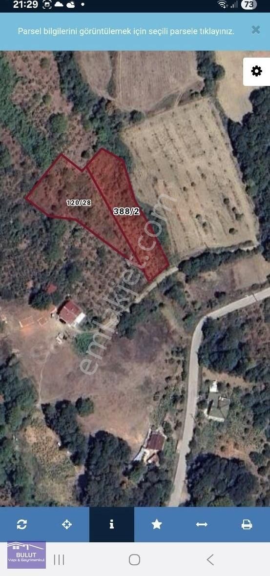 Geyve Akıncılarda 3.440m2 Fındıklık.köy İçinde. - Görsel 6