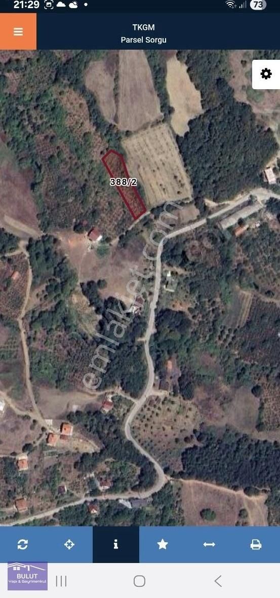 Geyve Akıncılarda 3.440m2 Fındıklık.köy İçinde. - Görsel 3