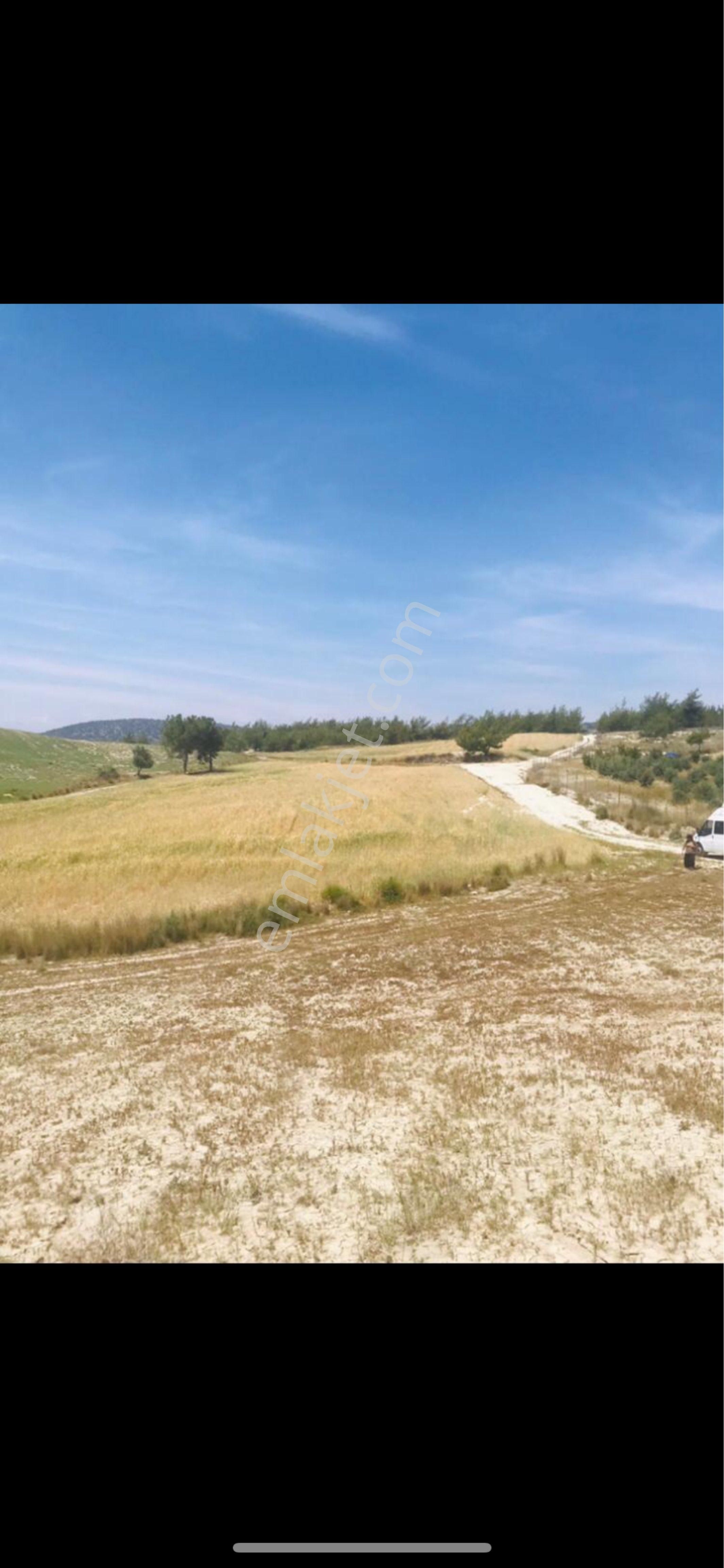 Livadan Yatırımlık Arsa Satılık - Görsel 4