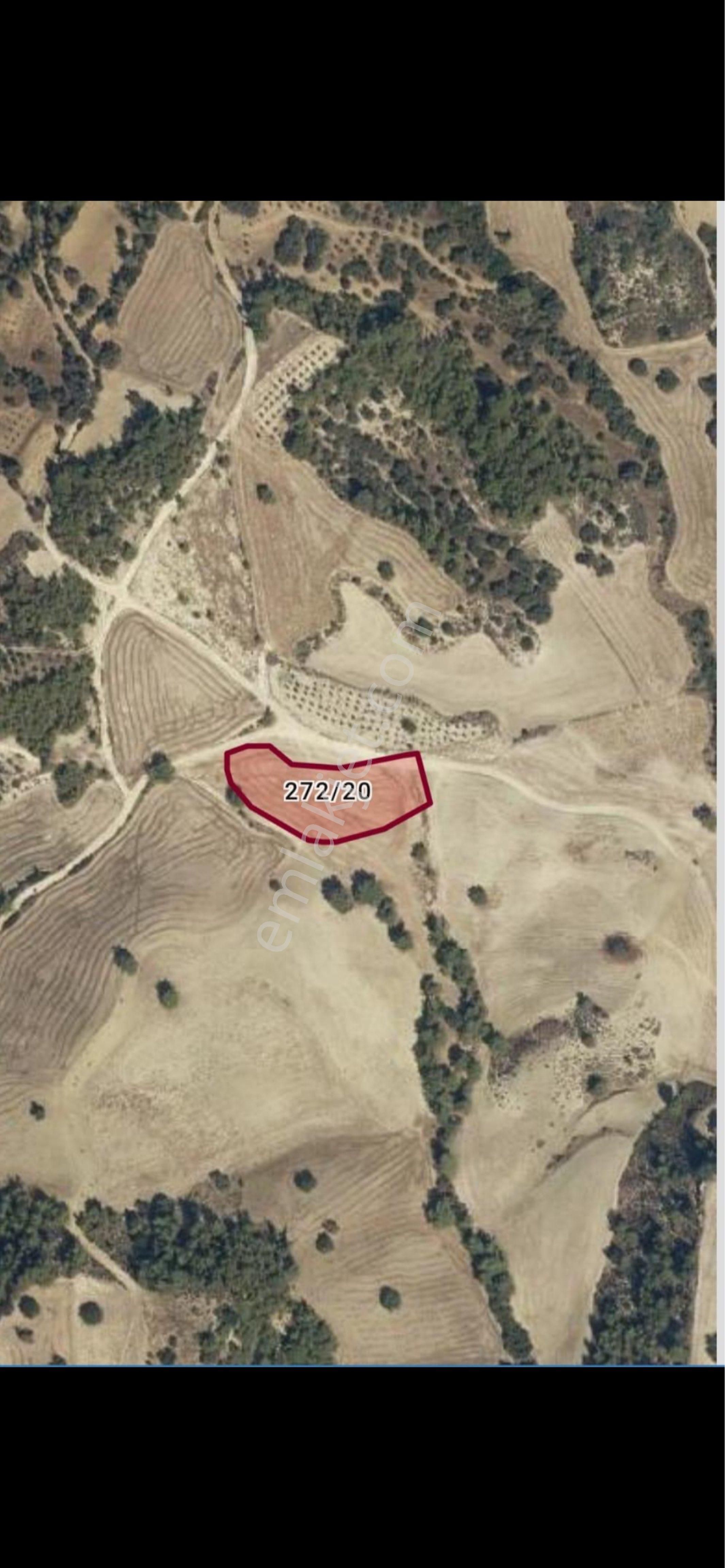 Livadan Yatırımlık Arsa Satılık - Görsel 2