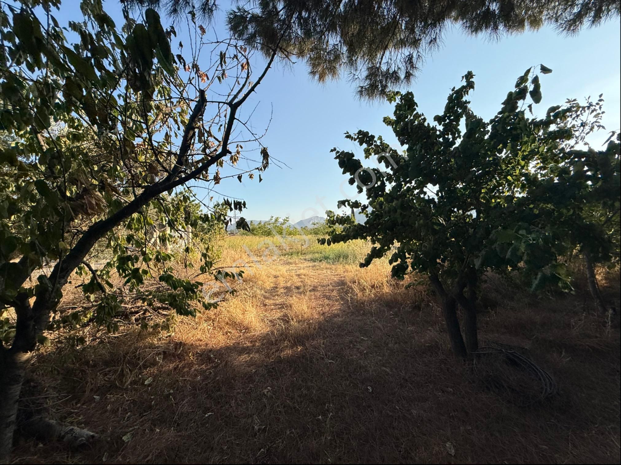 Kemalpaşa Örnekköy Okul Yolu Cad. 12 Dönüm Depolu Bahçe - Görsel 4