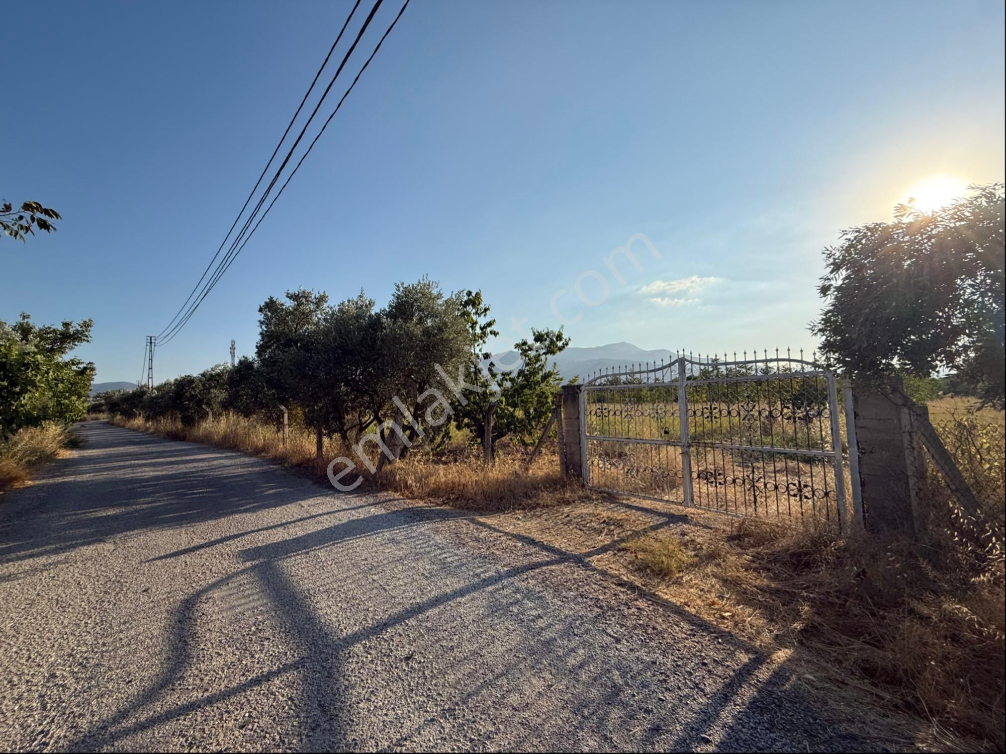 Kemalpaşa Örnekköy Okul Yolu Cad. 12 Dönüm Depolu Bahçe