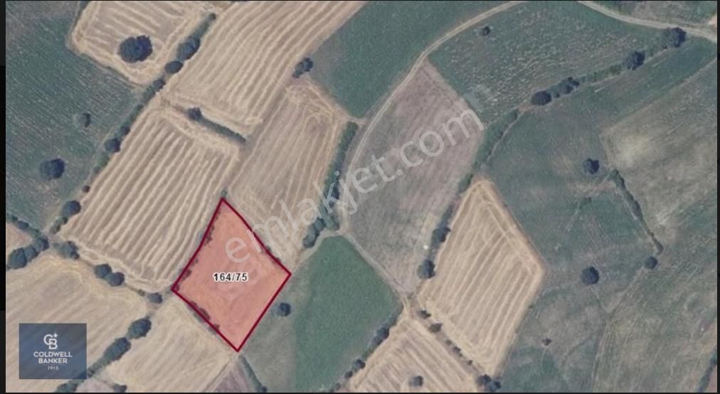 Çanakkale Biga'da Hesaplı Ve Doğru Yatırım 2779 M2 Satılık Tarla - Görsel 5