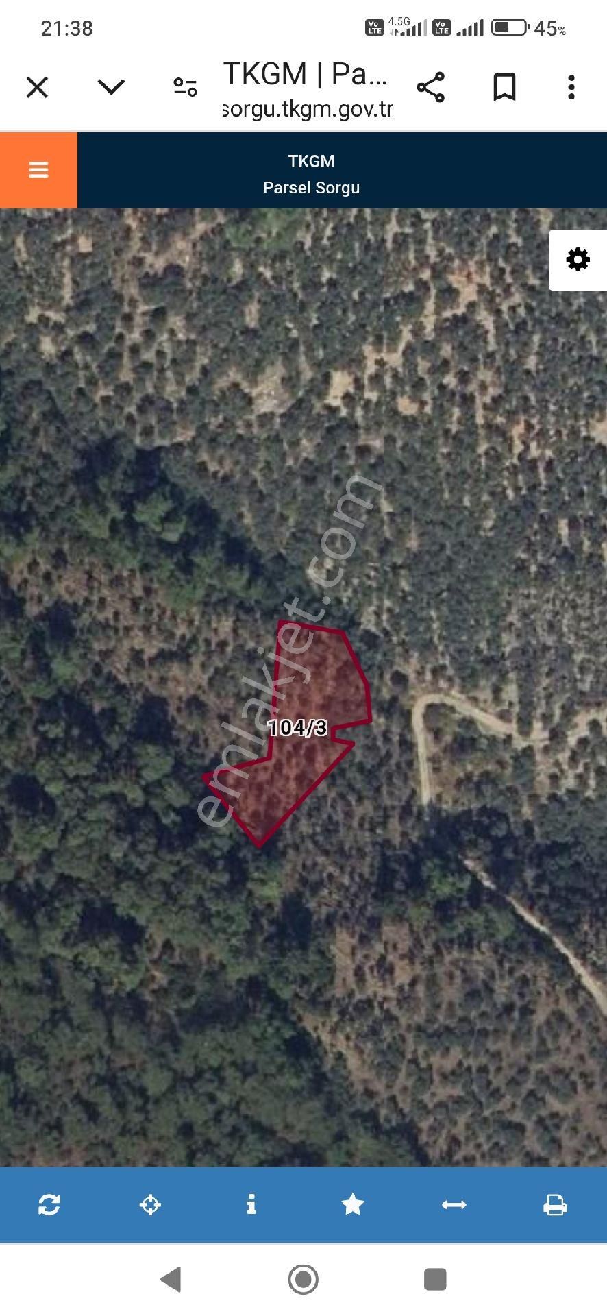 İzmir Bayındır Kızıloba Köyünde Köye Yakın 1489 M² Zeytinlik Satılıktır