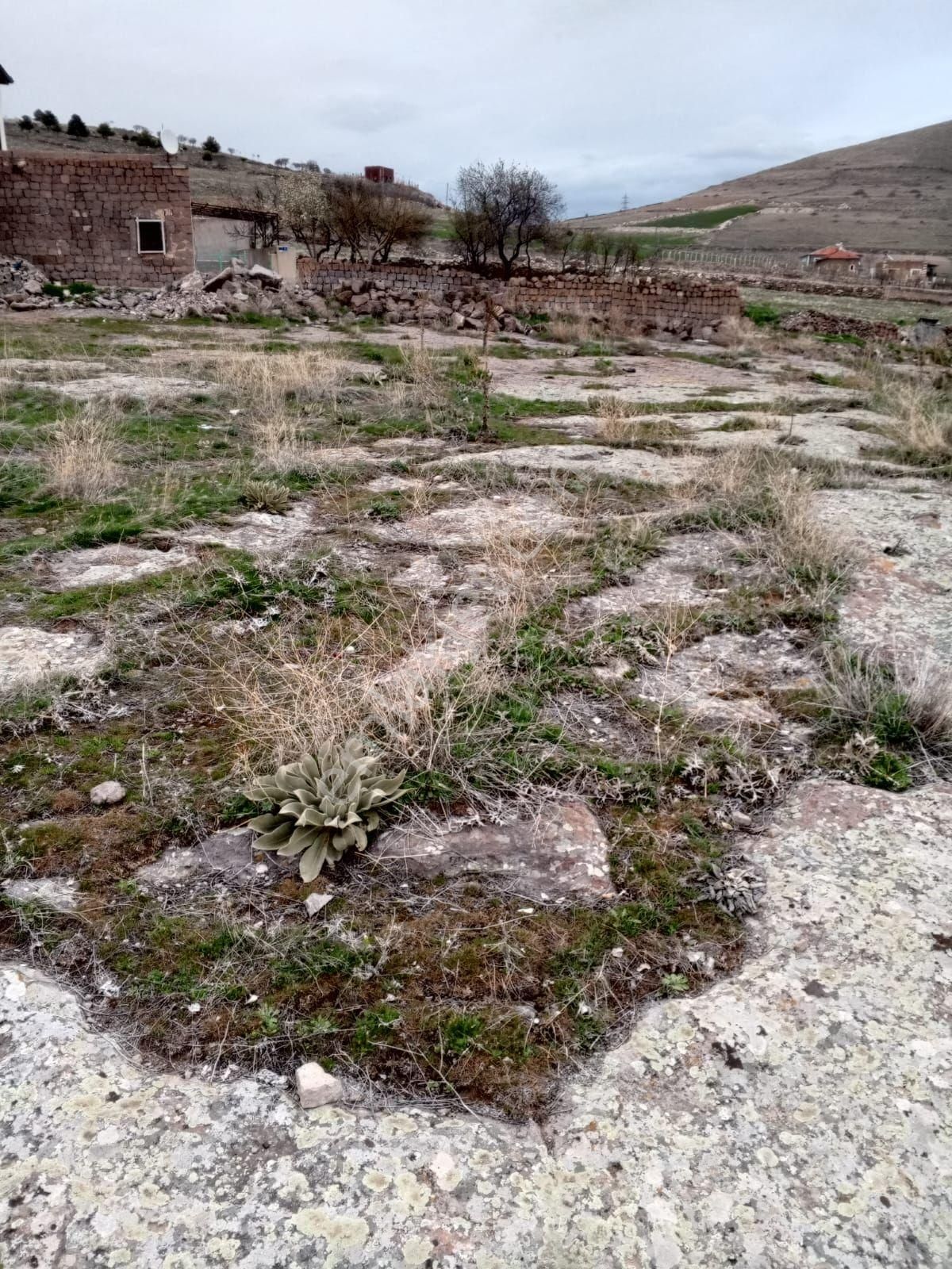 İncesu Garipçe 447m2 Yatırımlık Arsa