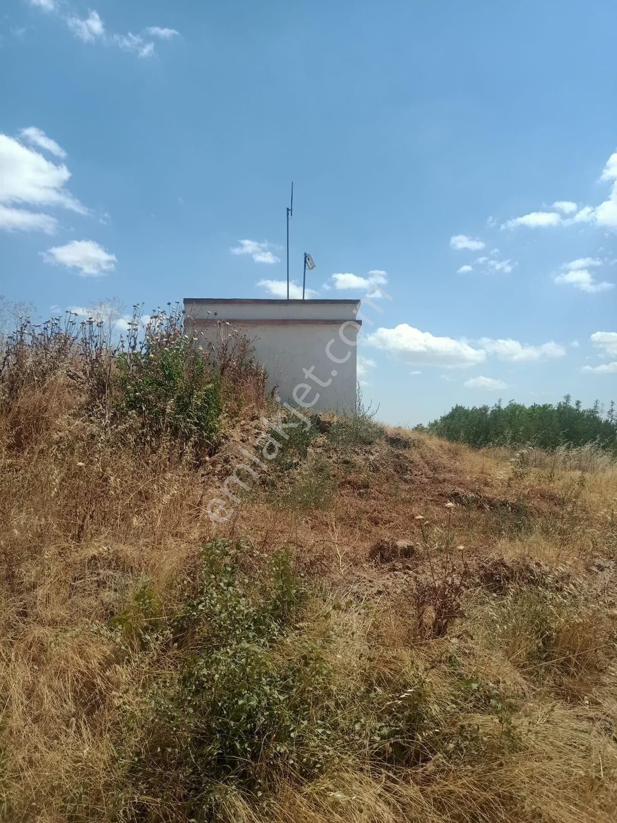 Kırklareli Pehlivan Köy 17 Dönüm Elektrik Su Mevcut Köy Dibi