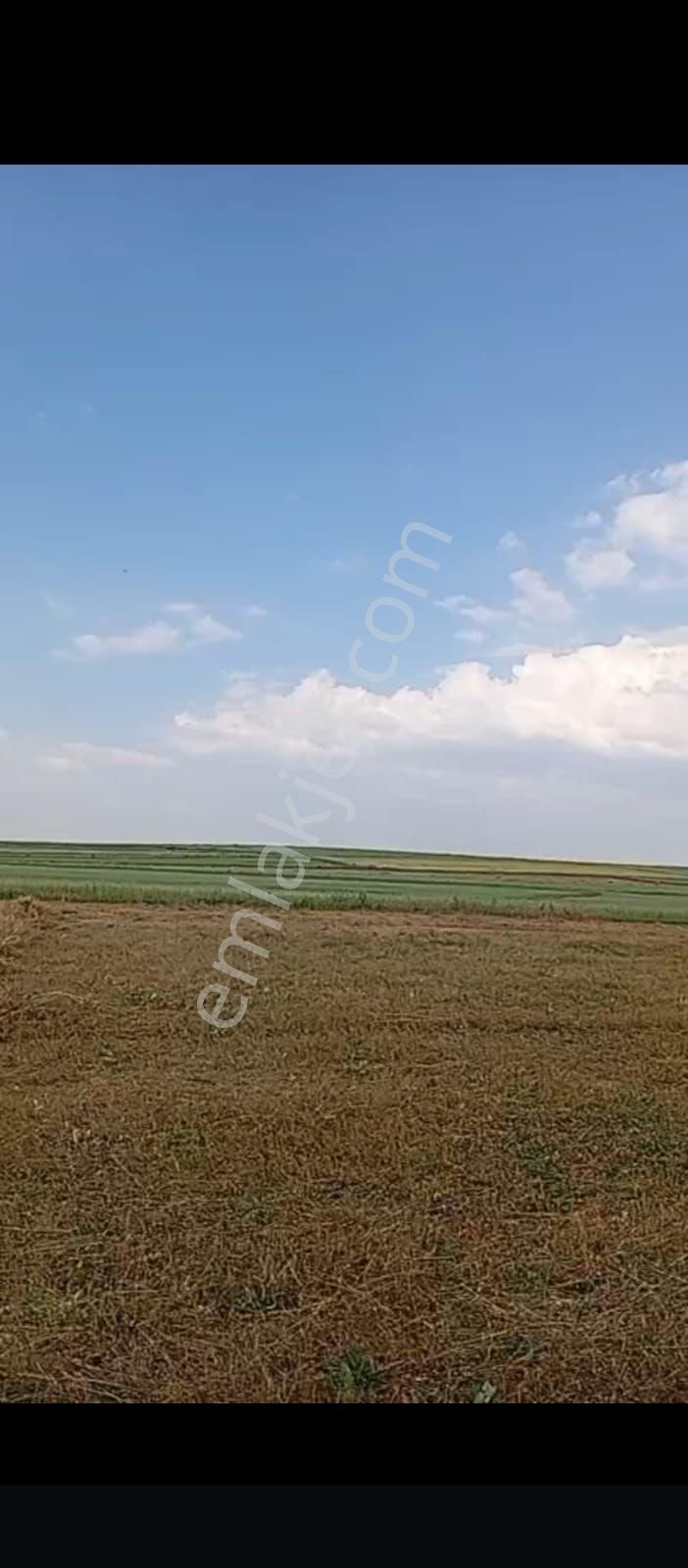 Kars Merkeze Bağli Acil Satilik Arazi