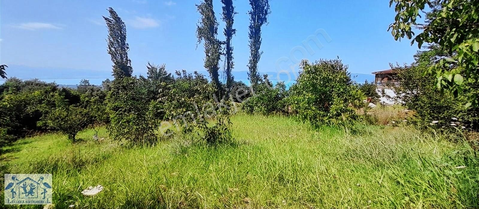 Acil Fiyat Sadece 1 Hafta Heceler'de İznik Gölü Manzaralı Tarla