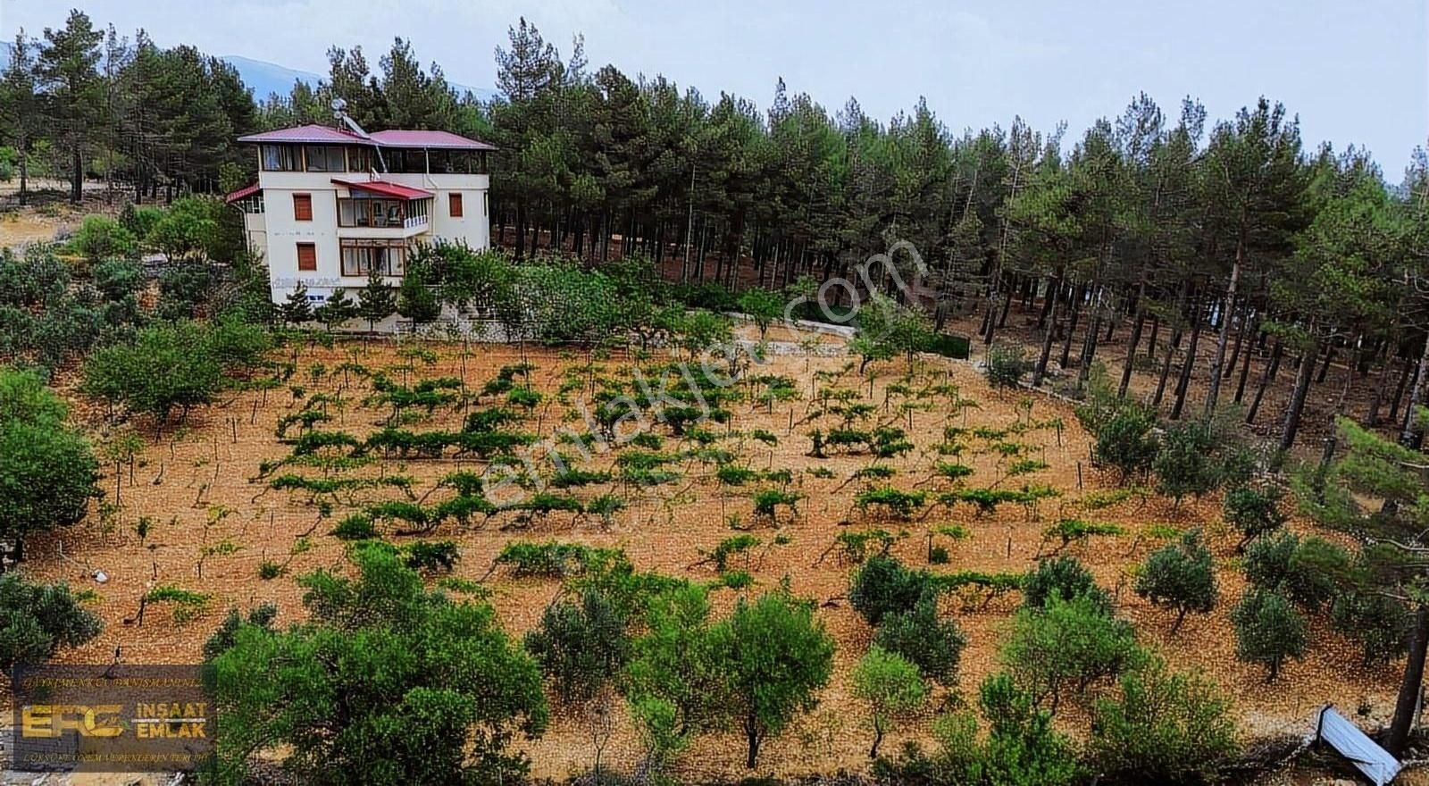 Teras Cafe Arkası Manzaralı Satılık 3000m2 Villa