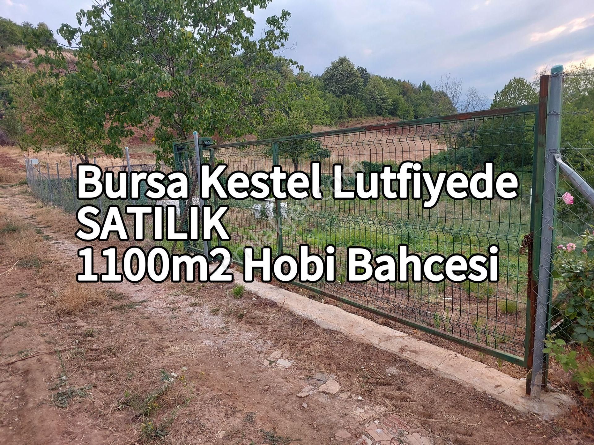 Bursa Kestel Lütfiyede Satılık 1100m2 Köşe Mü.parsel Ho.bahçesi