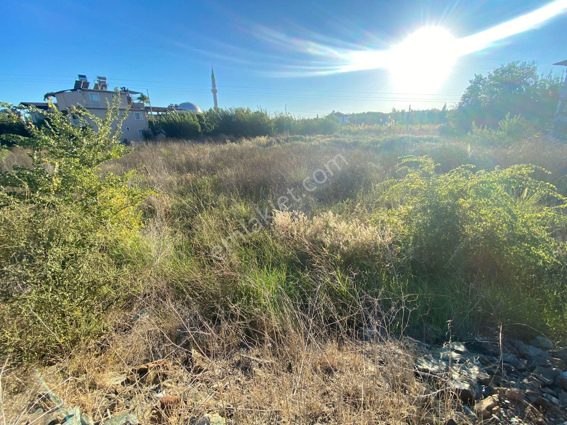 Dalamanda Satılık 473 M2 Ticari Arsa - Görsel 2