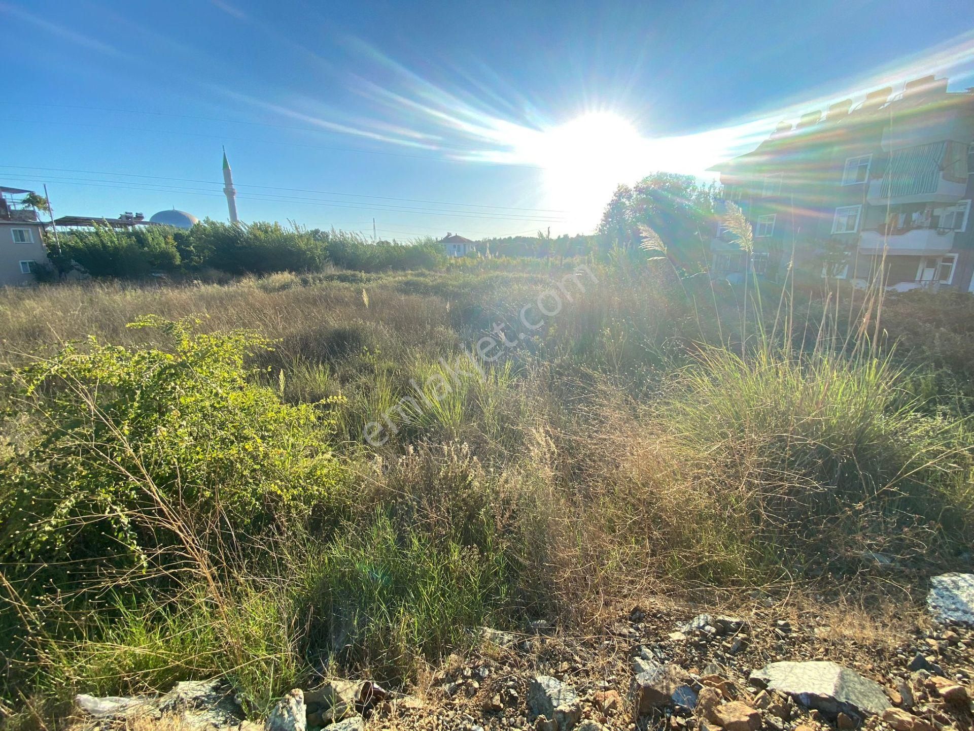 Dalamanda Satılık 473 M2 Ticari Arsa - Görsel 5