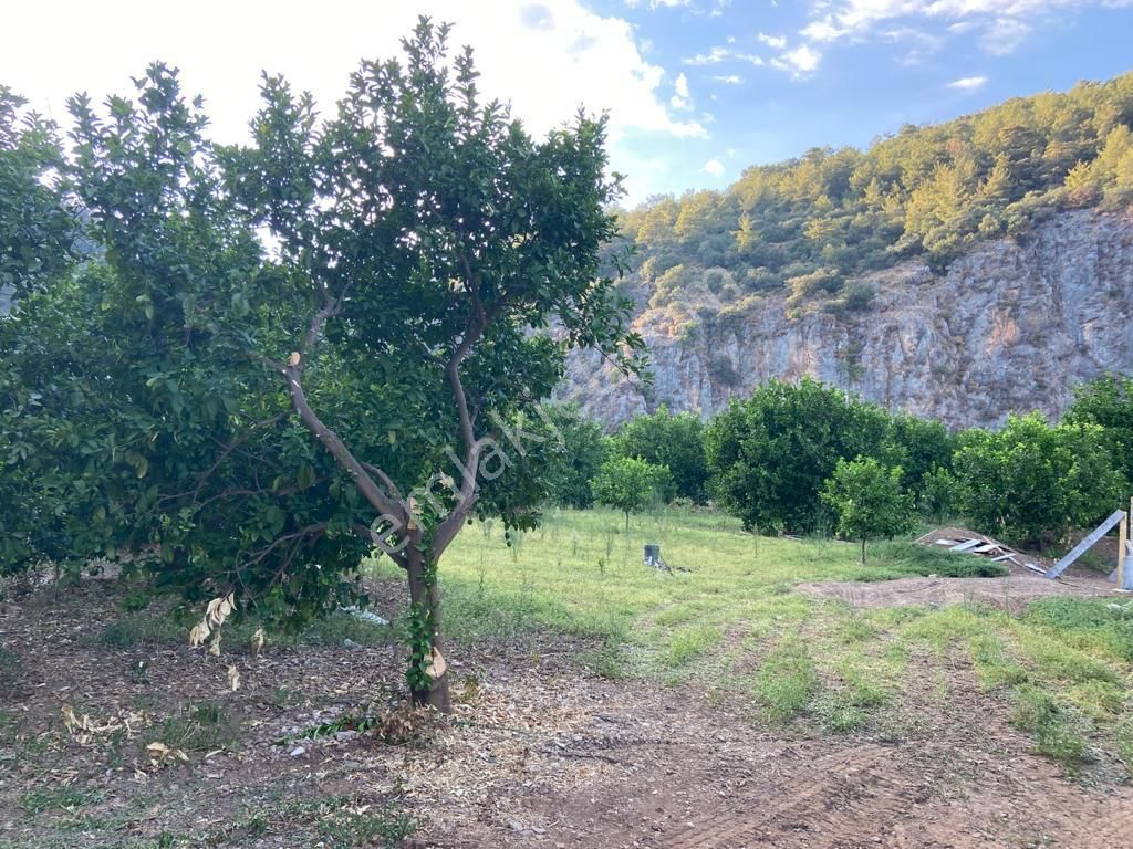 Ortaca'da Satılık 1543 M2 İmarlı Arsa - Görsel 14