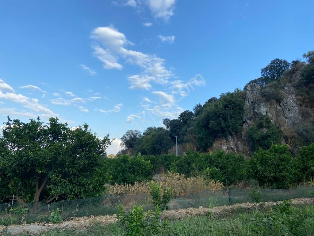 Ortaca'da Satılık 1543 M2 İmarlı Arsa - Görsel 5