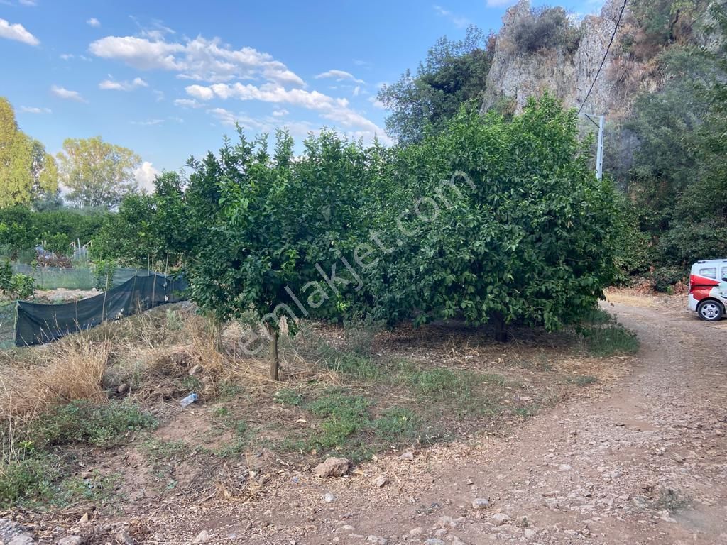 Ortaca'da Satılık 1543 M2 İmarlı Arsa - Görsel 3