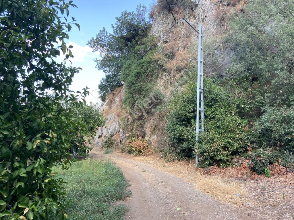 Ortaca'da Satılık 1543 M2 İmarlı Arsa - Görsel 19