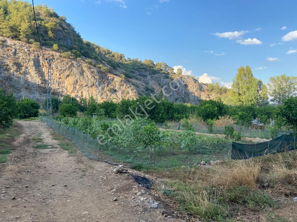 Ortaca'da Satılık 1543 M2 İmarlı Arsa - Görsel 2