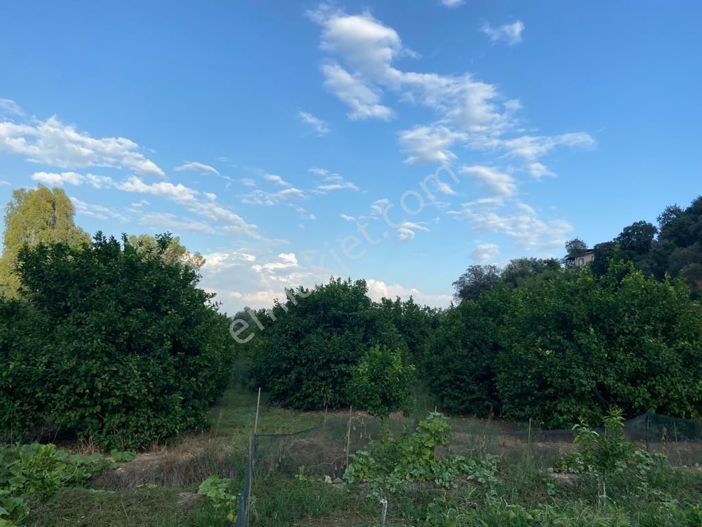 Ortaca'da Satılık 1543 M2 İmarlı Arsa - Görsel 9