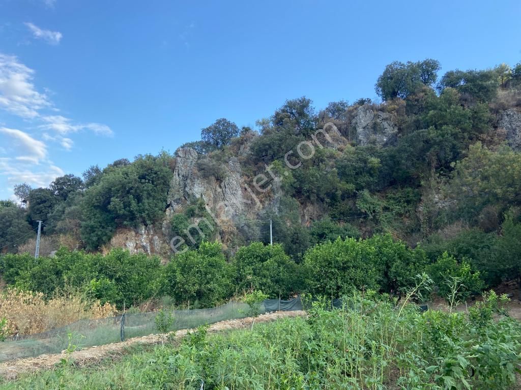 Ortaca'da Satılık 1543 M2 İmarlı Arsa - Görsel 4