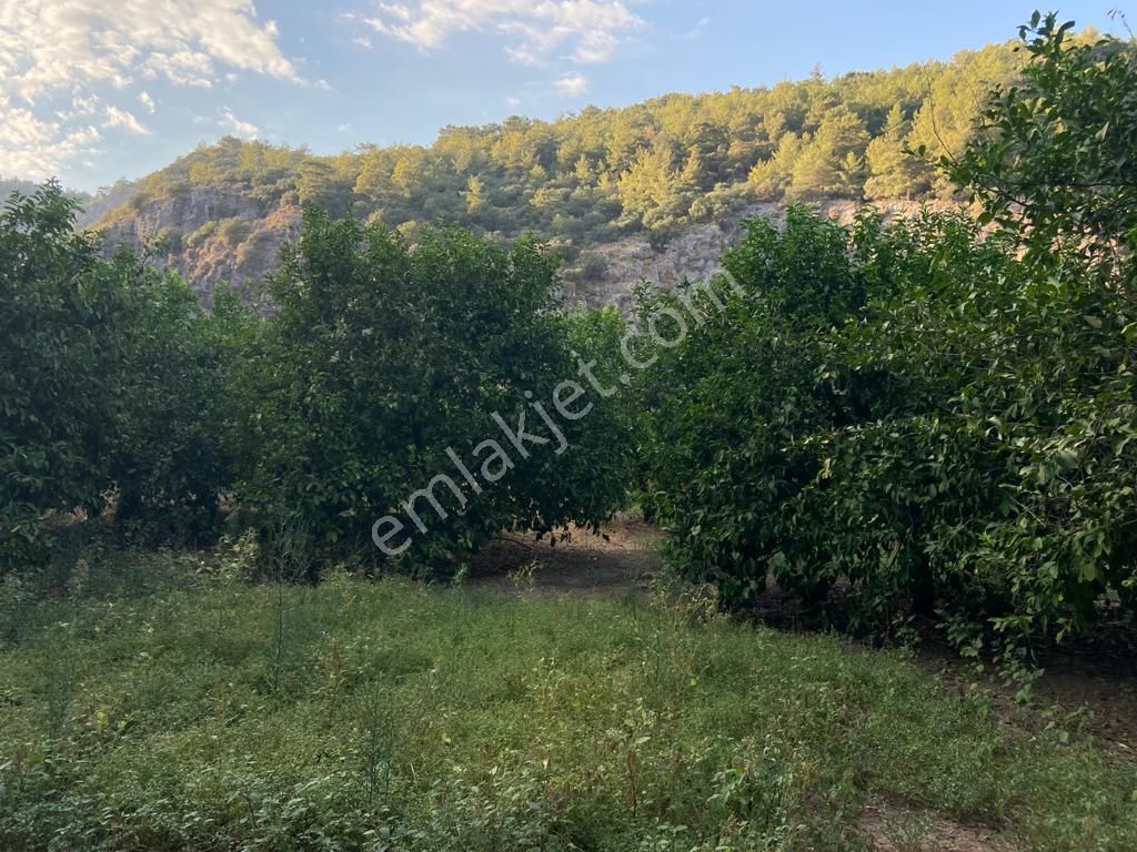 Ortaca'da Satılık 1543 M2 İmarlı Arsa - Görsel 18