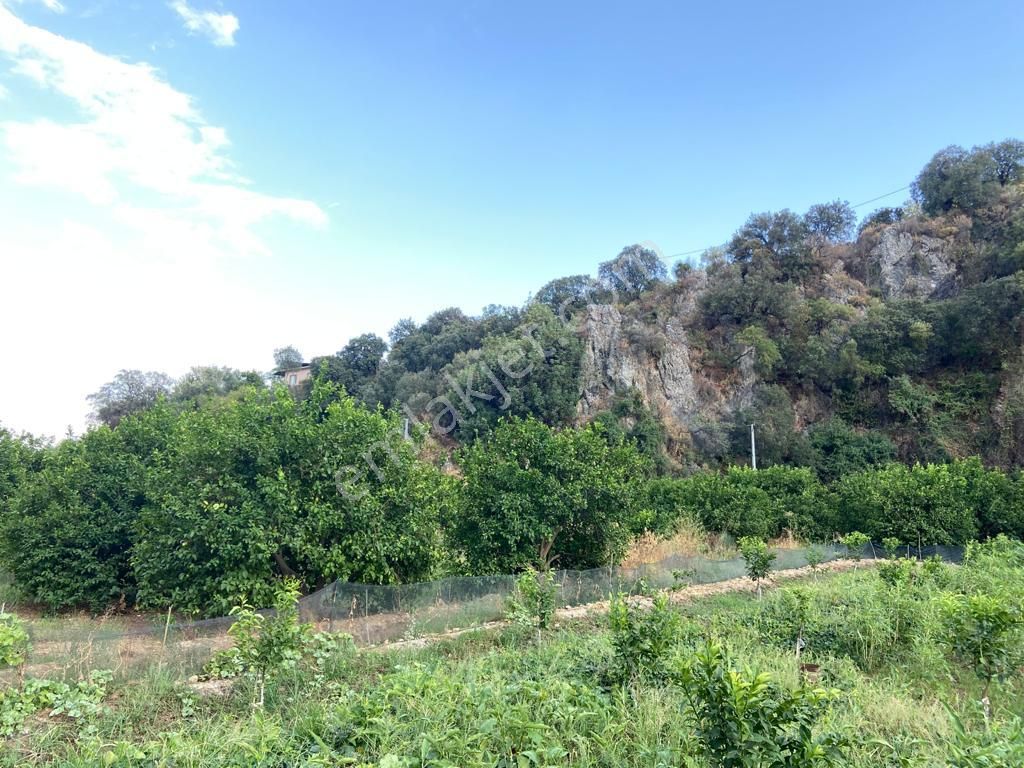 Ortaca'da Satılık 1543 M2 İmarlı Arsa - Görsel 8