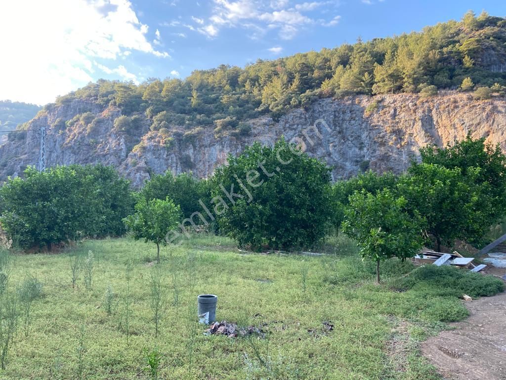 Ortaca'da Satılık 1543 M2 İmarlı Arsa - Görsel 15