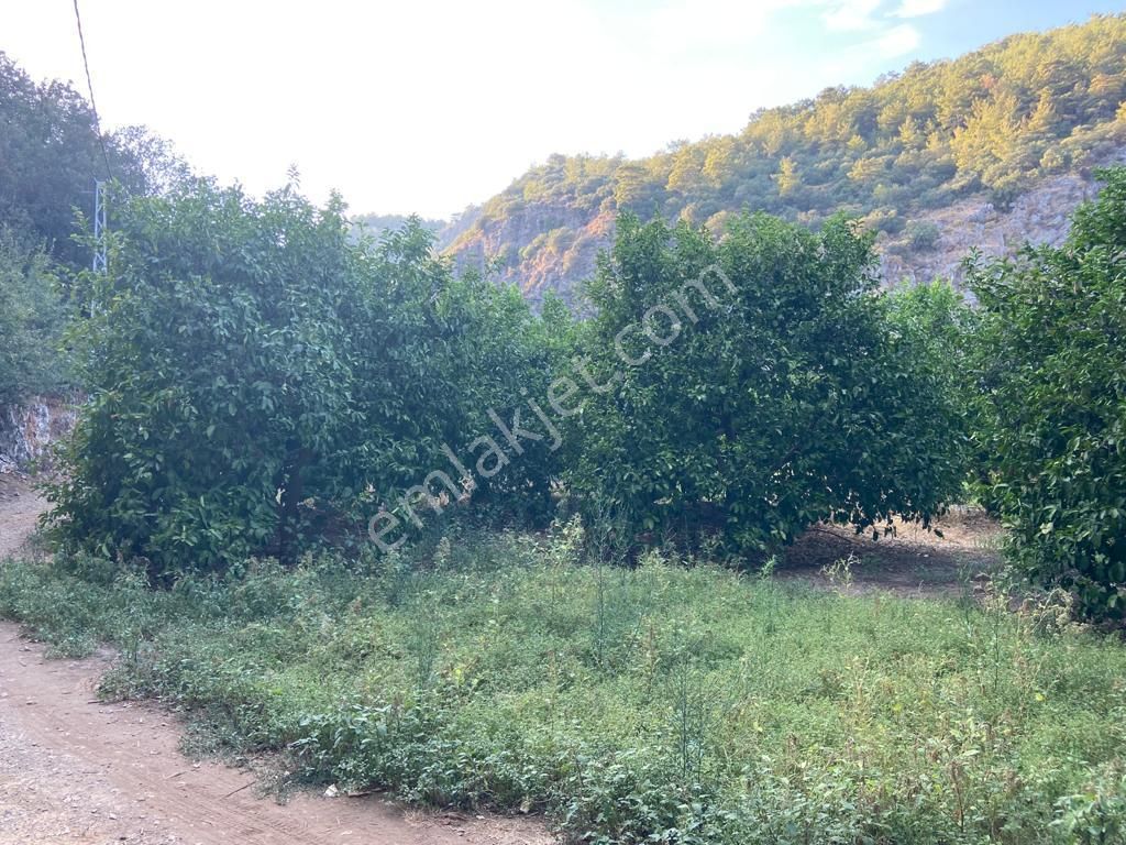 Ortaca'da Satılık 1543 M2 İmarlı Arsa - Görsel 16