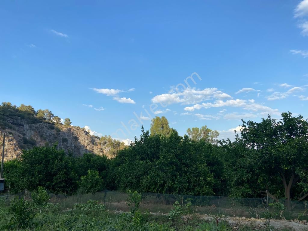 Ortaca'da Satılık 1543 M2 İmarlı Arsa - Görsel 6