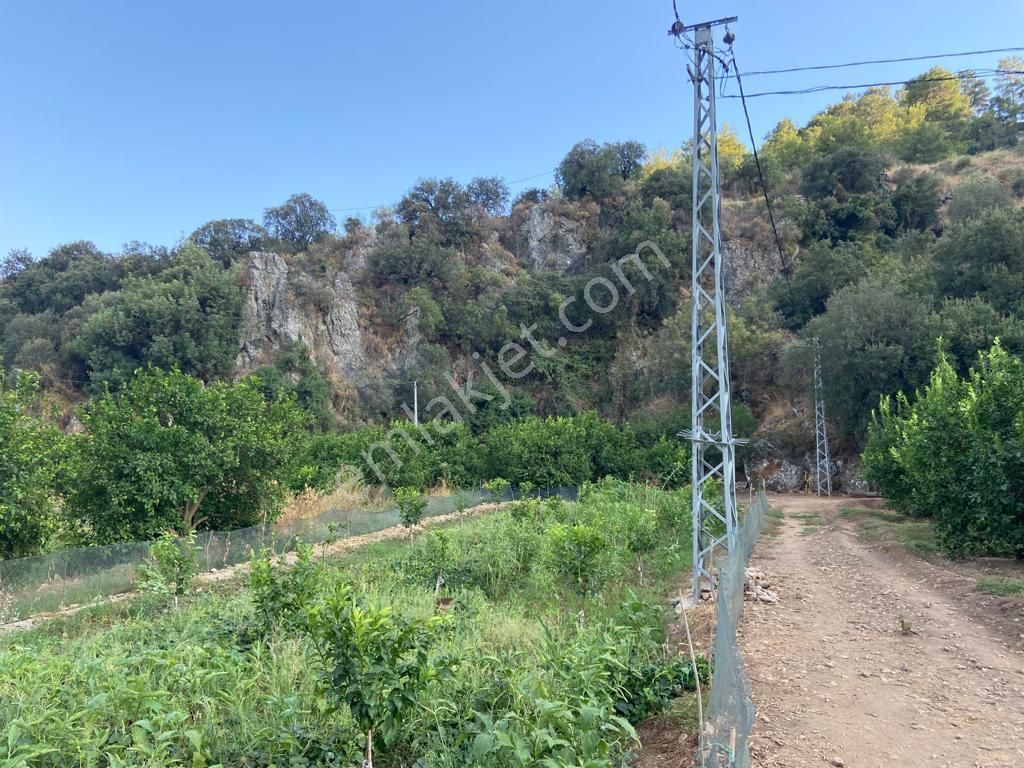 Ortaca'da Satılık 1543 M2 İmarlı Arsa - Görsel 7