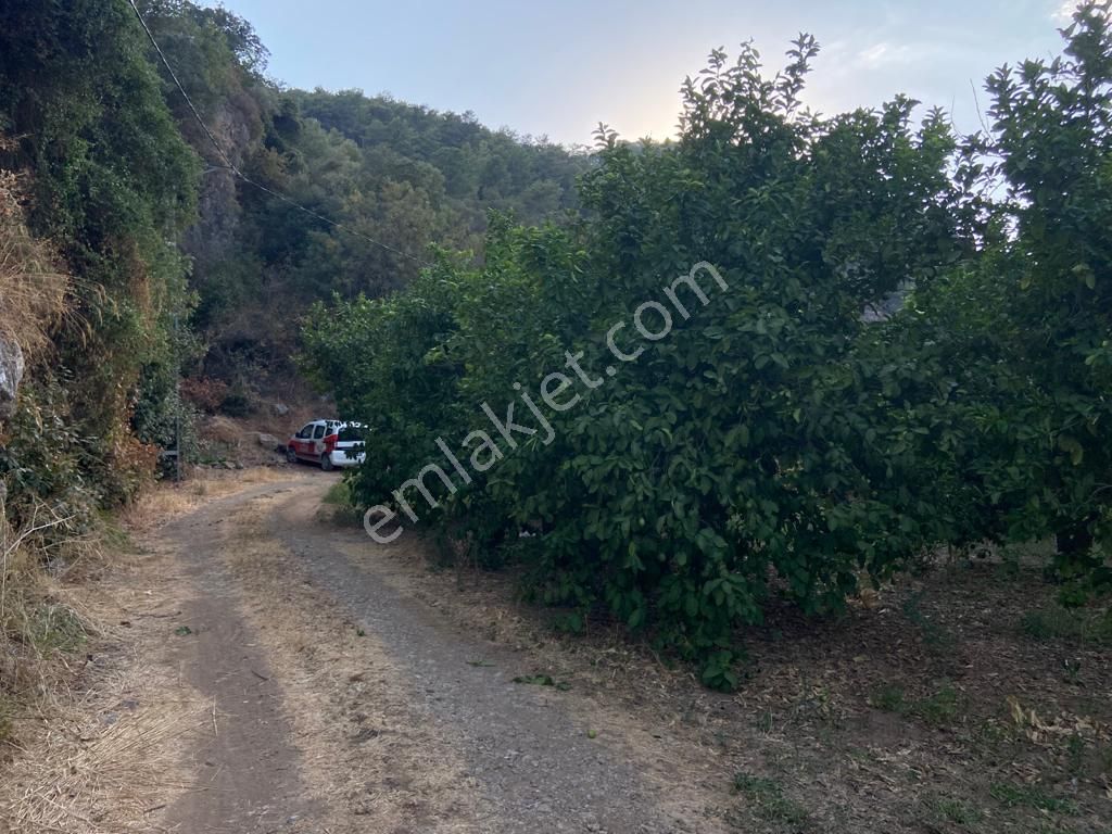 Ortaca'da Satılık 1543 M2 İmarlı Arsa - Görsel 13