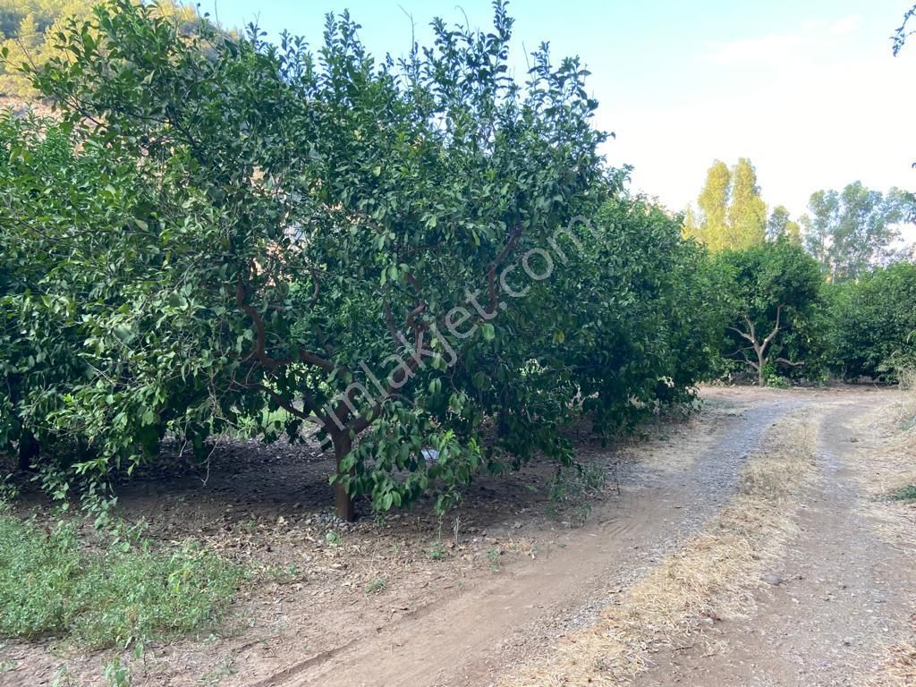 Ortaca'da Satılık 1543 M2 İmarlı Arsa - Görsel 17