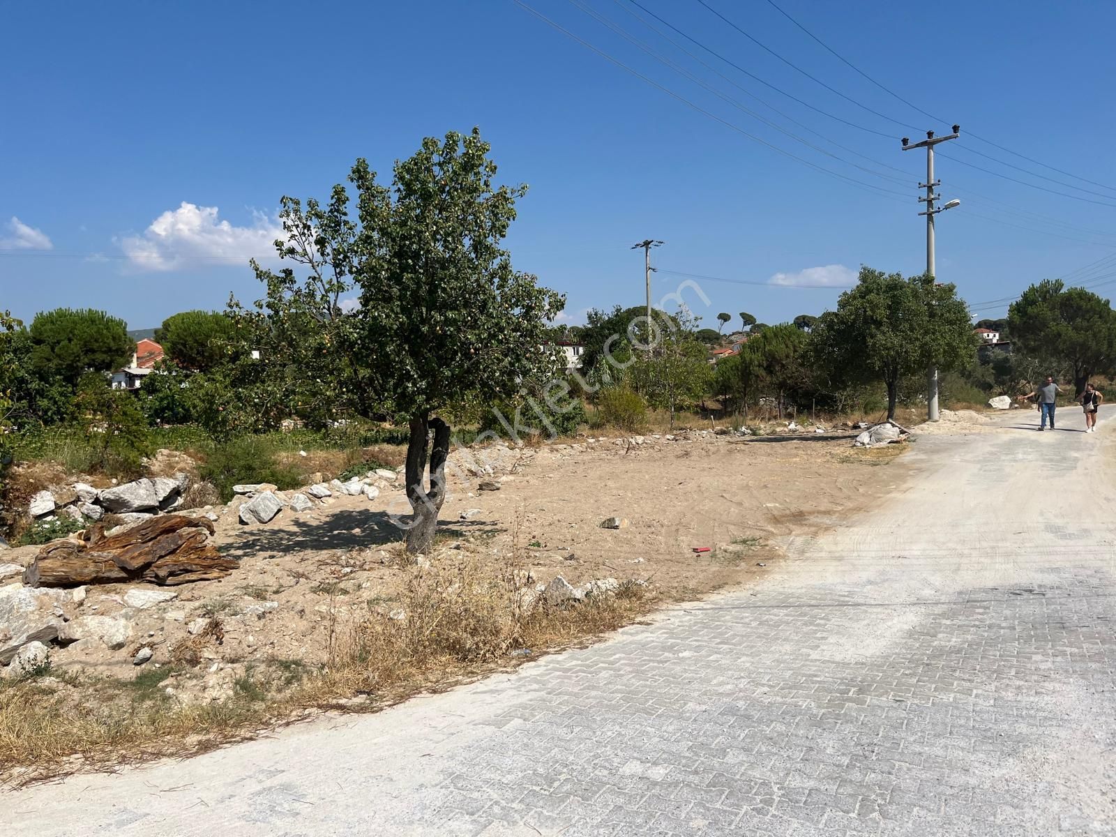 Ev Yapımına Uygun Muğla Milâs'ta, 529 M² Köşe Parsel, Köy İmarlı - Görsel 9