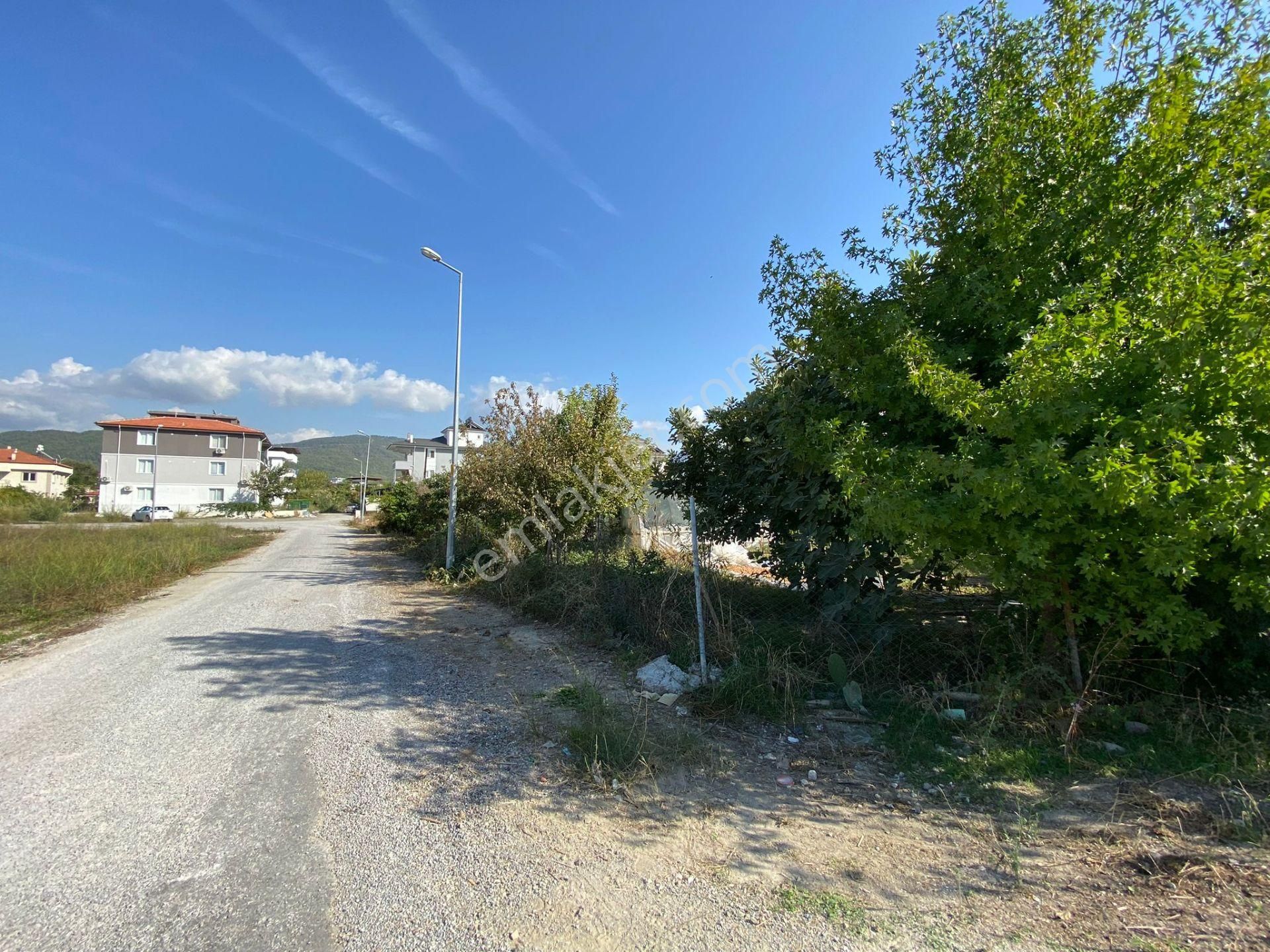 Dalaman Hürriyet Mahallesinde 509 M2 İmarlı Satılık Köşe Parsel - Görsel 5