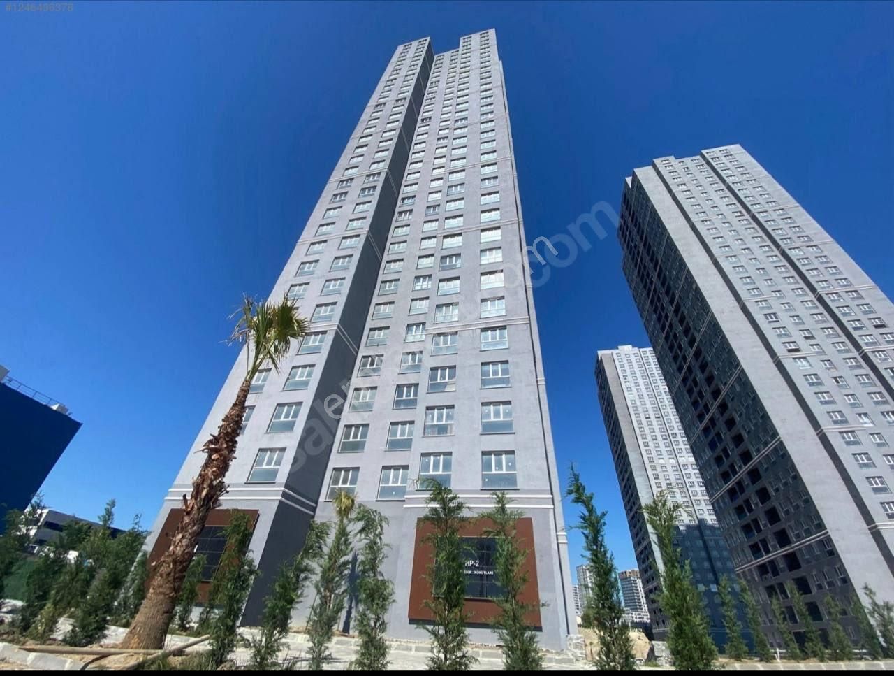 Bahçeşehir Kıralık 1+1 - Görsel 8