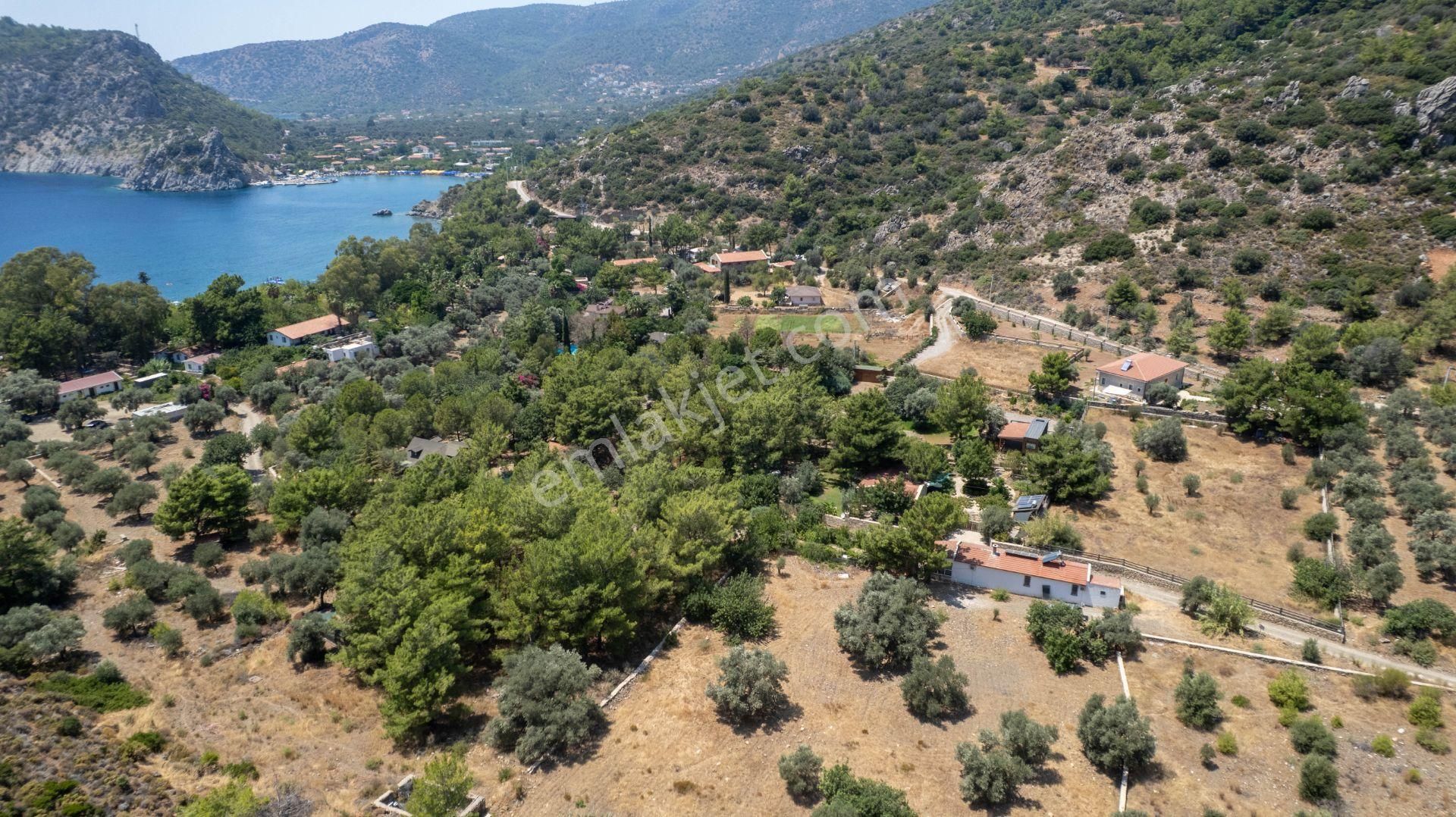 Datça Kızılbük'te Denize 200 M Satılık 2777 M2 Arazi