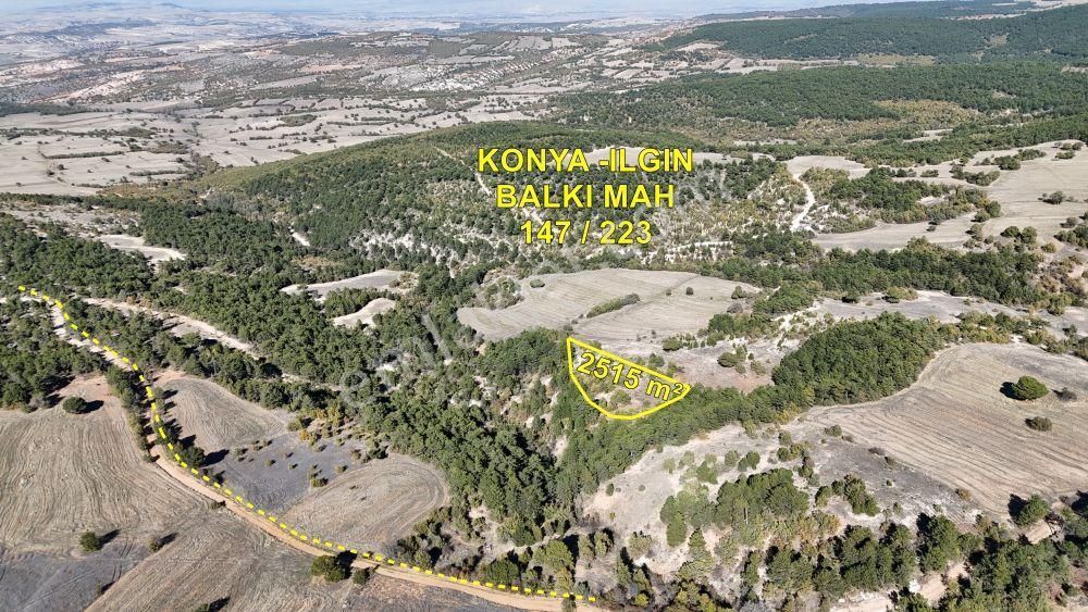 Konya / Ilgın / Balkı Mahallesinde 2.515 M² Müstakil Tapulu Tarla